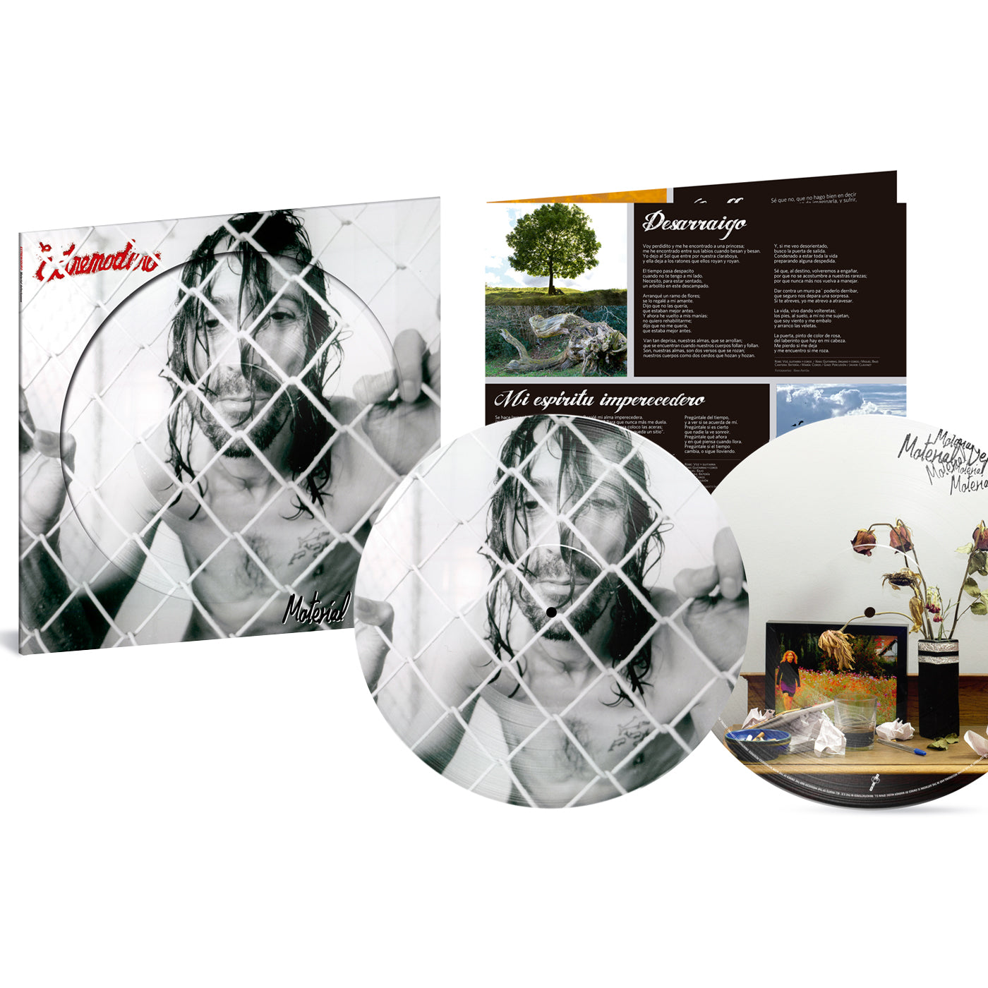 LP - Picture Disc - Material defectuoso